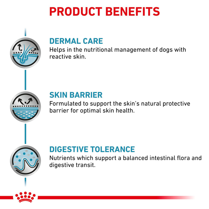 Royal Canin Veterinary Diets Derma Skin Care koiran kuivaruoka 11 kg