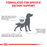 Royal Canin Veterinary Diets Derma Skin Care koiran kuivaruoka 2 kg
