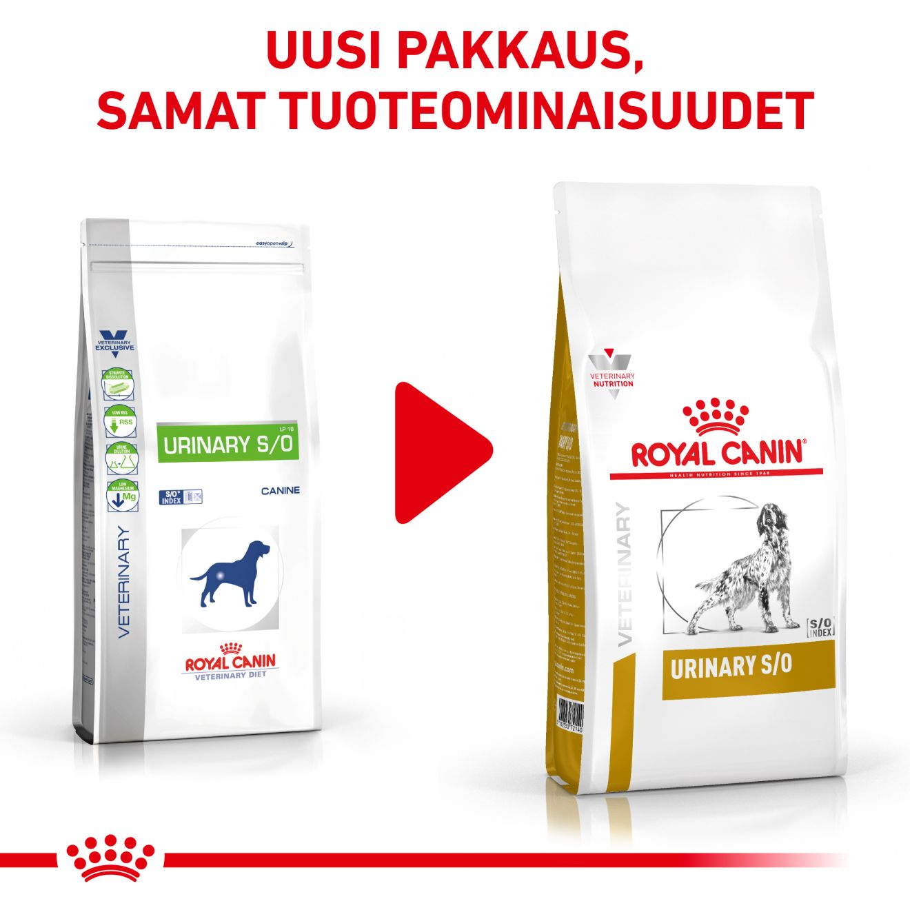Royal Canin Veterinary Diets Urinary S/O koiran kuivaruoka 2 kg