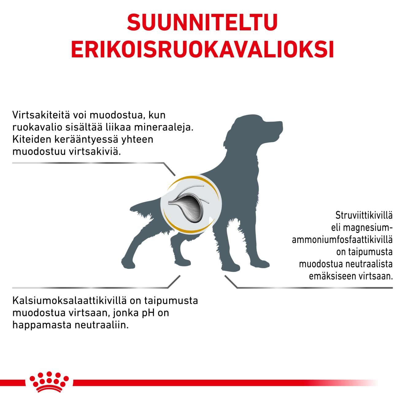 Royal Canin Veterinary Diets Urinary S/O koiran kuivaruoka 2 kg