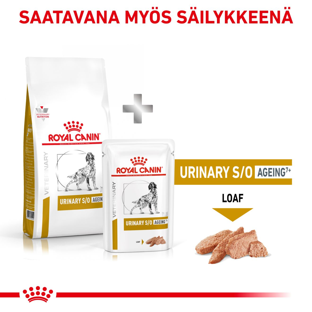 Royal Canin Veterinary Diets Urinary S/O Ageing koiran kuivaruoka 3,5 kg