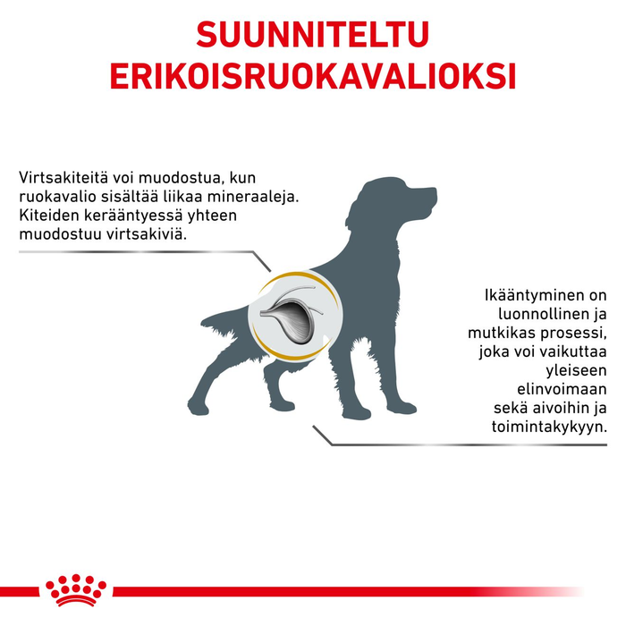 Royal Canin Veterinary Diets Urinary S/O Ageing koiran kuivaruoka 1,5 kg