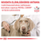 Royal Canin Veterinary Diets Urinary S/O Small Dogs koiran kuivaruoka 8 kg