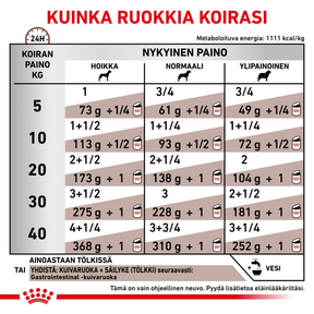 Royal Canin Veterinary Diets Gastrointestinal Loaf säilykepurkki koiran märkäruoka 200 g MAISTELUPAKKAUS PÄIVÄYSTARJOUS