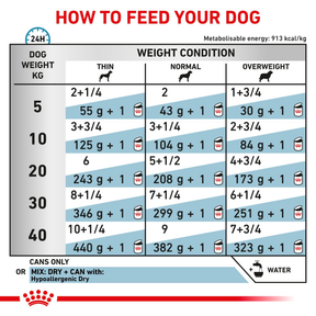 Royal Canin Veterinary Diets Derma Hypoallergenic Loaf säilykepurkki koiran märkäruoka 200 g MAISTELUPAKKAUS