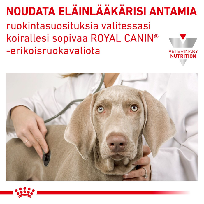 Royal Canin Veterinary Diets Weight Management Satiety Loaf säilykepurkki koiran märkäruoka 410 g MAISTELUPAKKAUS
