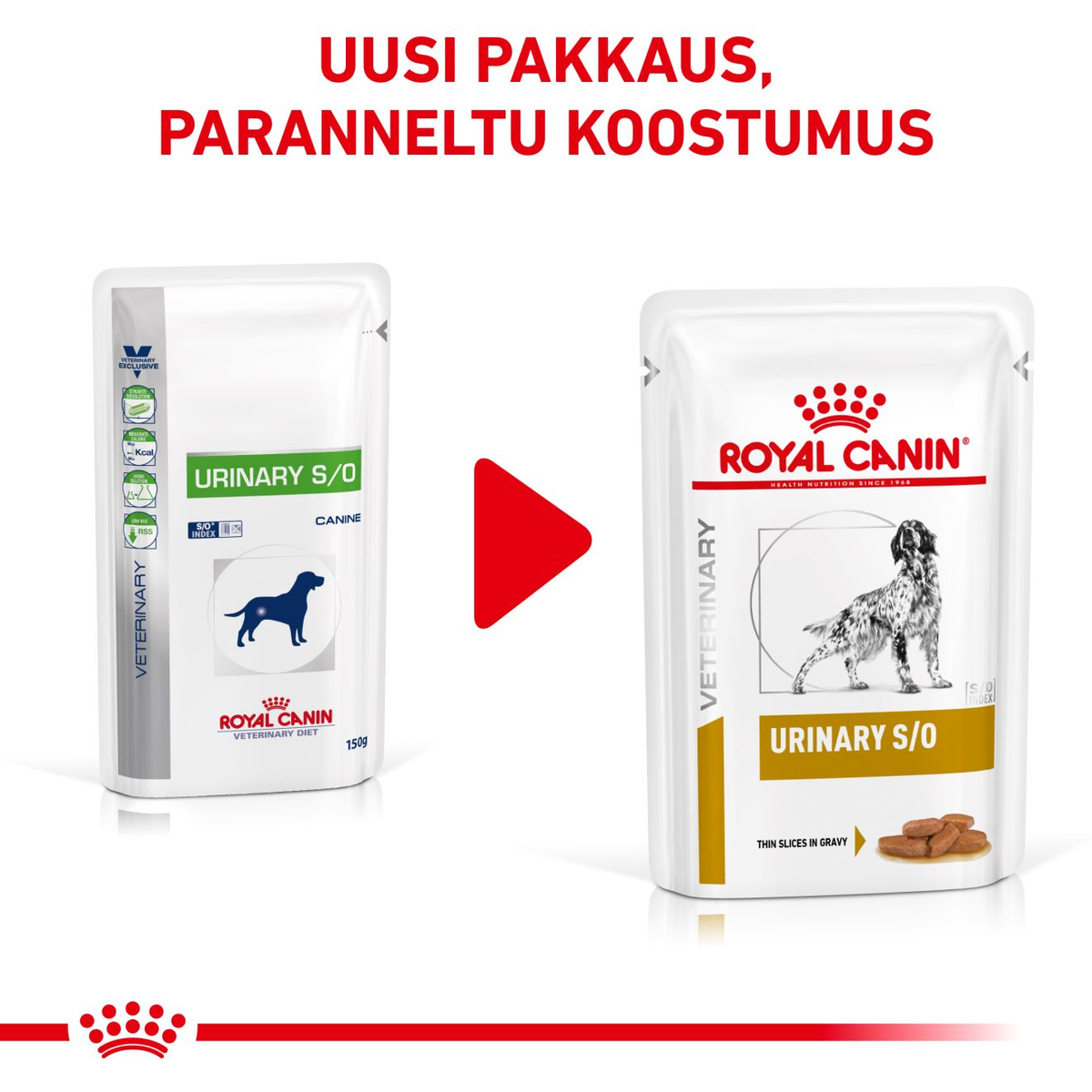 Royal Canin Veterinary Diets Urinary S/O CIG annospussi koiran märkäruoka 12 x 100 g