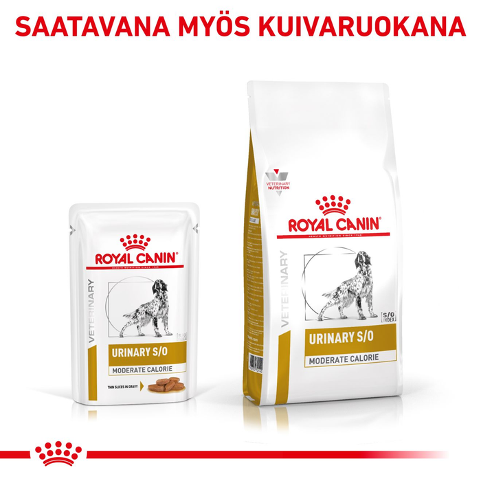 Royal Canin Veterinary Diets Urinary S/O Moderate Calorie annospussi koiran märkäruoka 12 x 100 g