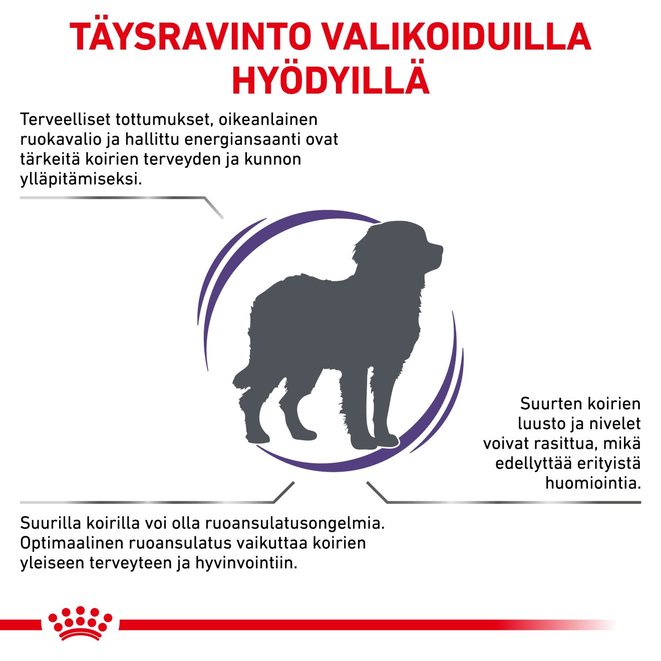 Royal Canin Veterinary Diets Health Management Adult Large Dog koiran kuivaruoka 4 kg