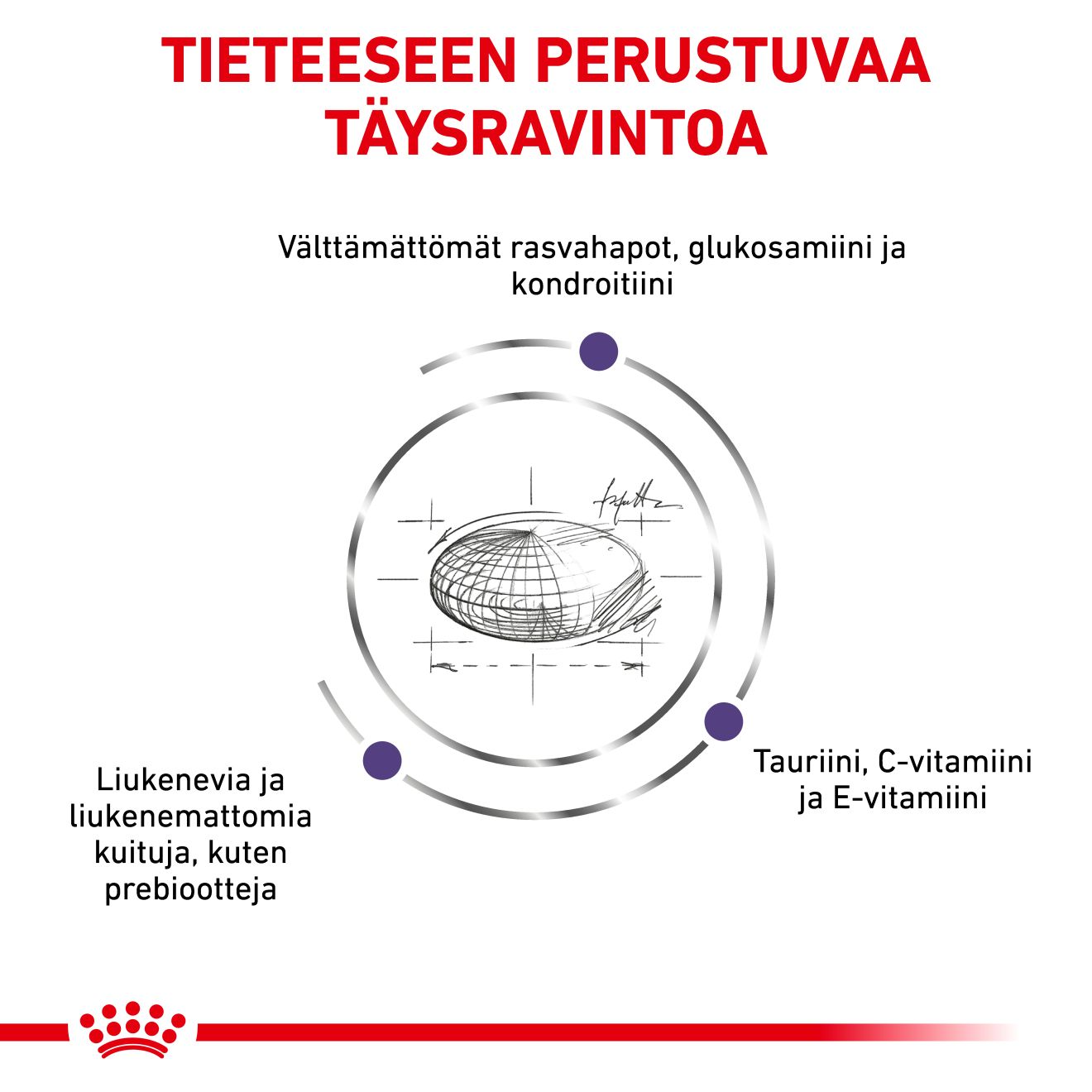 Royal Canin Veterinary Diets Health Management Adult Large Dog koiran kuivaruoka 4 kg