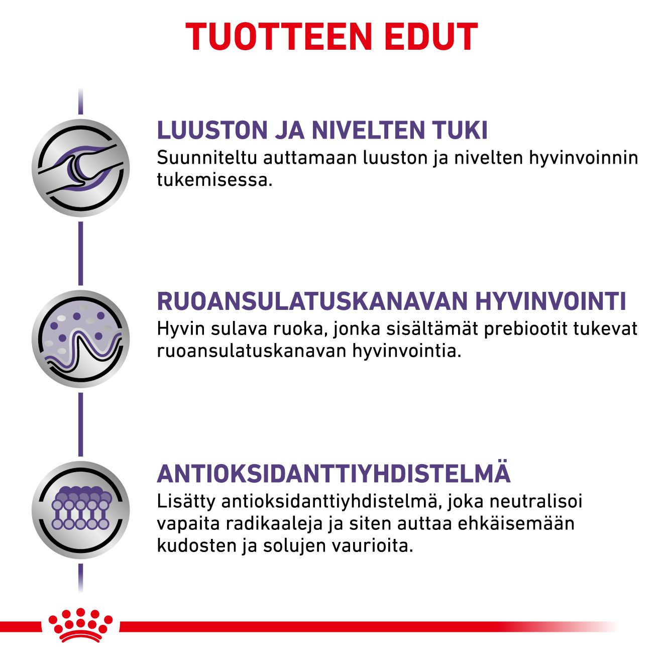 Royal Canin Veterinary Diets Health Management Adult Large Dog koiran kuivaruoka 4 kg