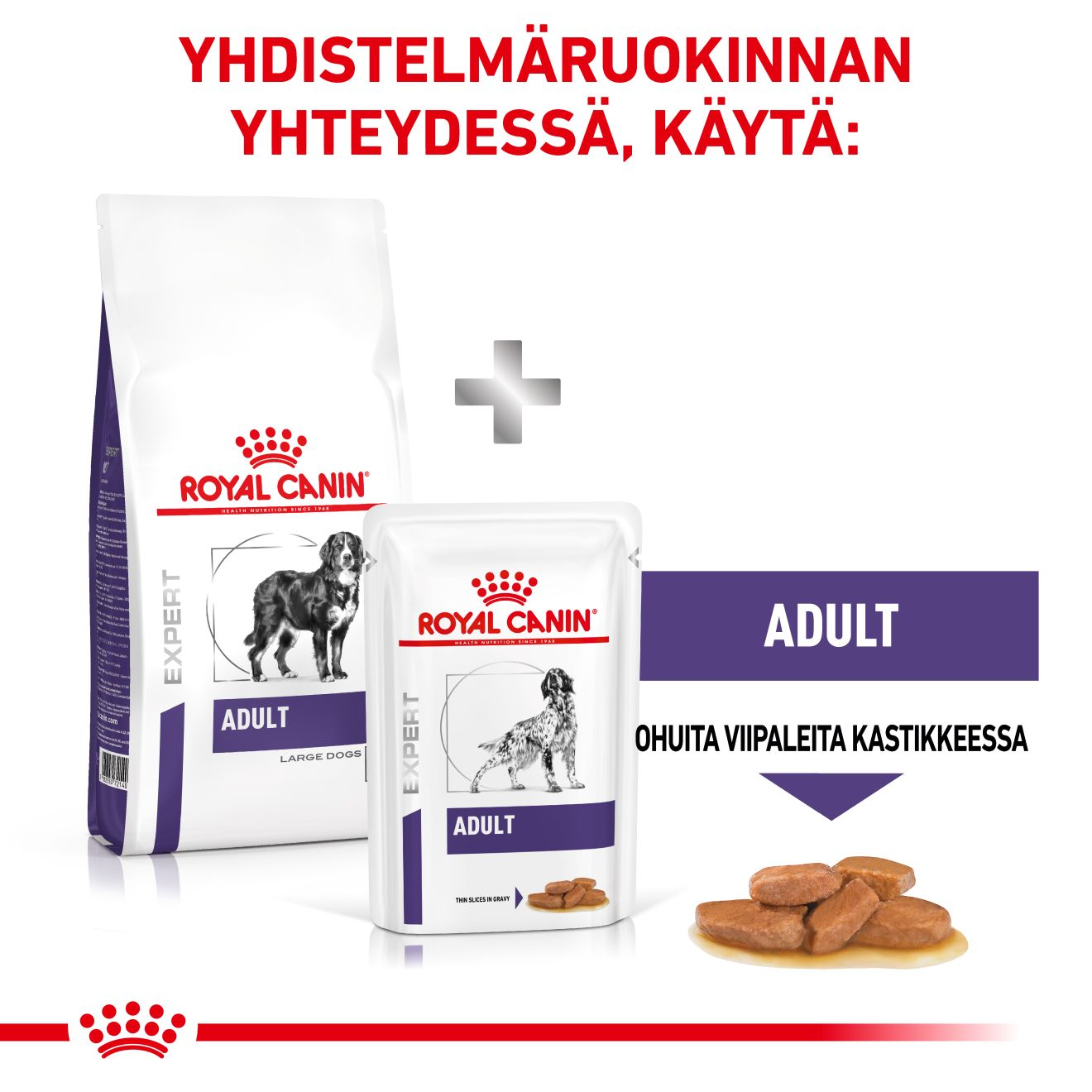 Royal Canin Veterinary Diets Health Management Adult Large Dog koiran kuivaruoka 4 kg