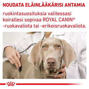 Royal Canin Veterinary Diets Health Management Adult Large Dog koiran kuivaruoka 4 kg