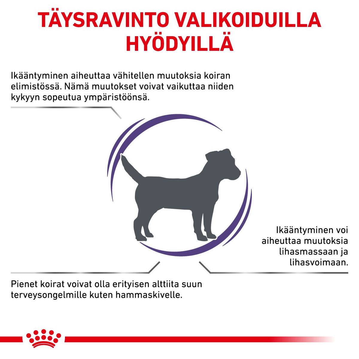 Royal Canin Veterinary Diets Health Management Mature Consult small dog koiran kuivaruoka 3,5 kg