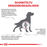 Royal Canin Veterinary Diets Mobility Support koiran kuivaruoka 12 kg