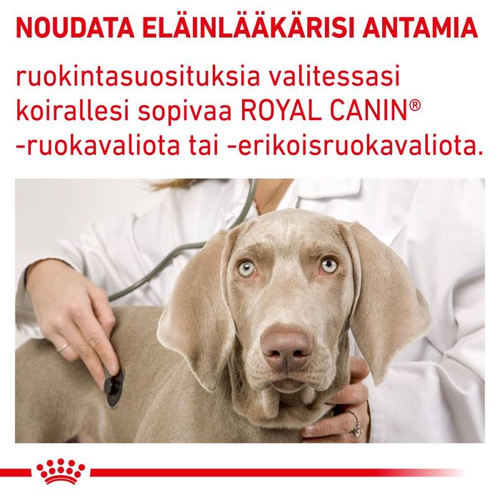 Royal Canin Veterinary Diets Health Management Neutered Adult koiran kuivaruoka 3,5 kg