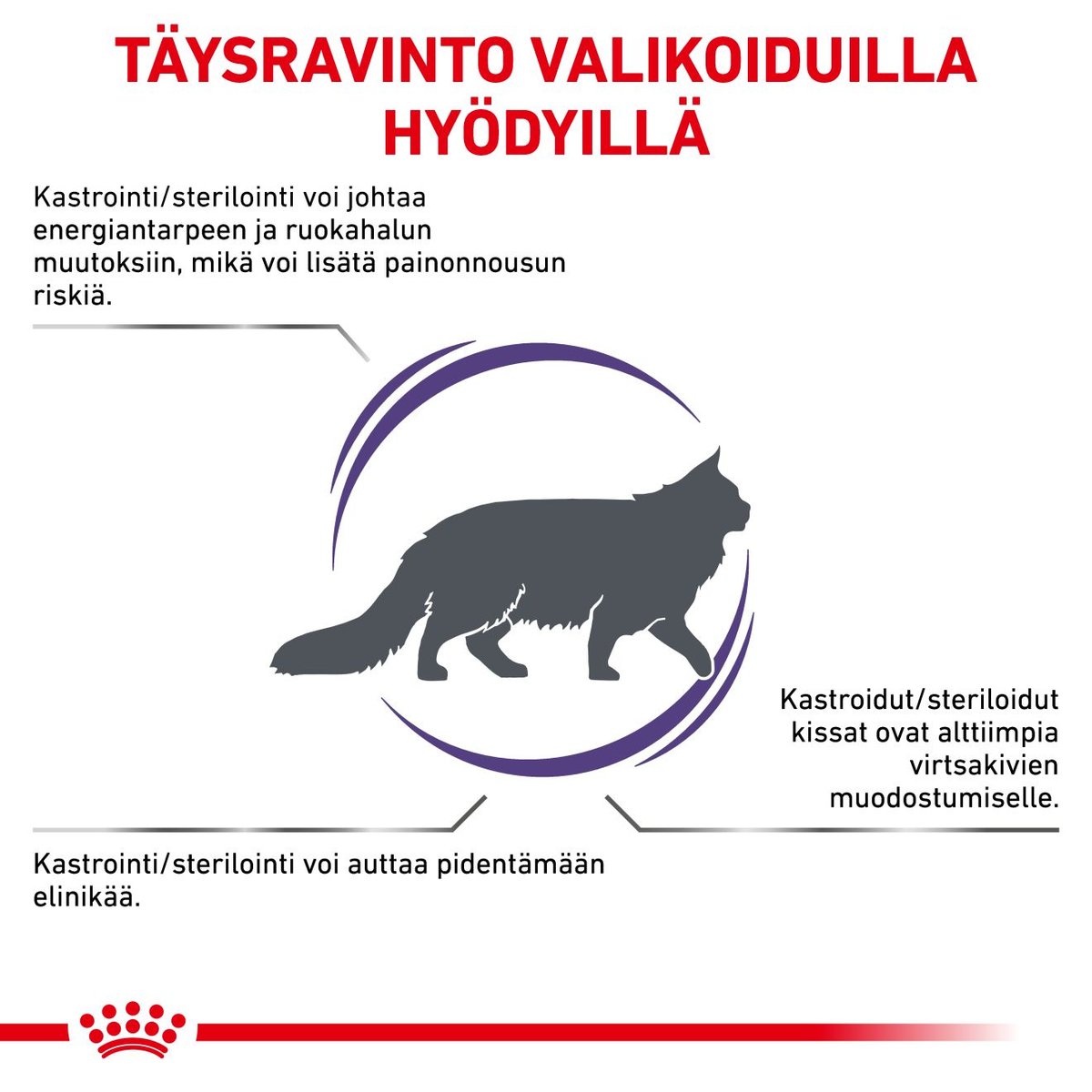 Royal Canin Veterinary Diets Health Management Neutered Satiety Balance kissan kuivaruoka 3,5 kg
