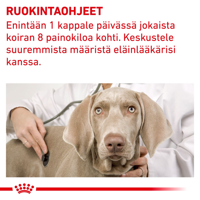Royal Canin Veterinary Diets Pill Assist Large Dog keskikokoiselle ja isolle koiralle 224 g