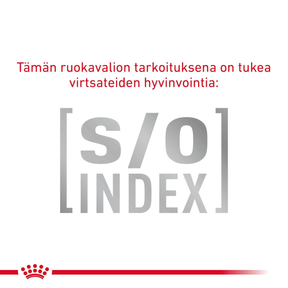 Royal Canin Veterinary Diets Derma Skin & Coat annospussi kissan märkäruoka 12 x 85 g