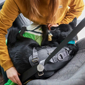 Hurtta Travel ECO valjas graniitti 10-20 kg