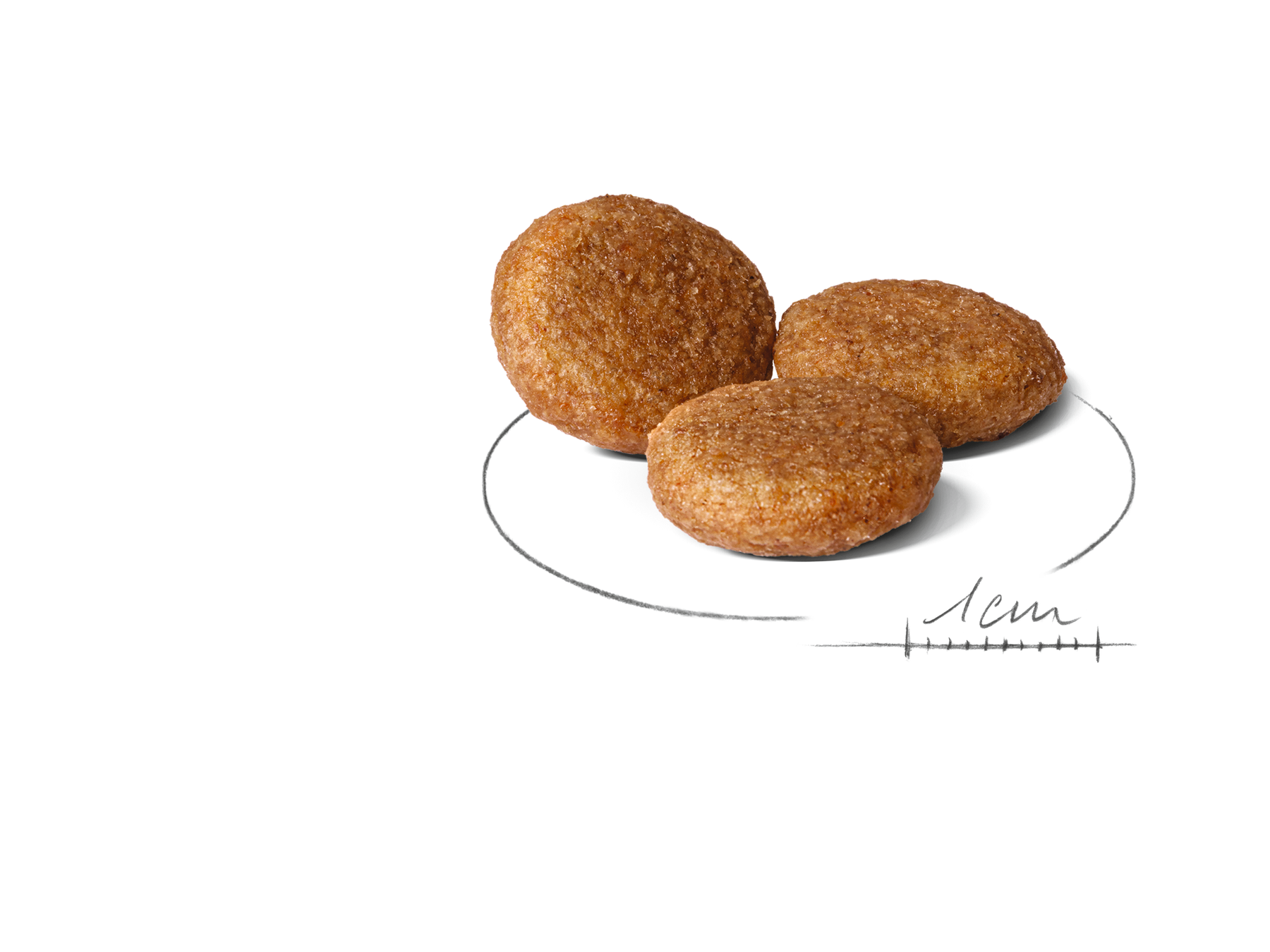 Royal Canin Medium Adult koiralle 4 kg