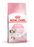Royal Canin Kitten kissalle 10 kg