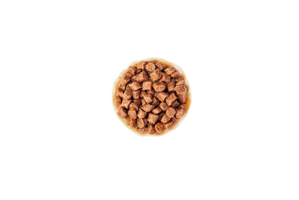Royal Canin Kitten Gravy kissalle 12 x 85 g