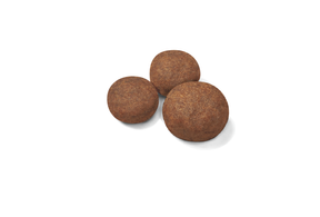 Royal Canin Medium Puppy koiralle 10 kg