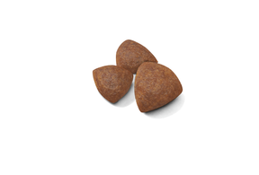 Royal Canin Medium Starter koiralle 4 kg