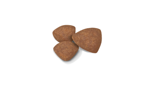 Royal Canin Mini Puppy koiralle 2 kg