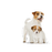 Royal Canin Starter Mother & Babydog koiralle 195 g MAISTELUPAKKAUS