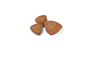 Royal Canin X-Small Puppy koiralle 500 g