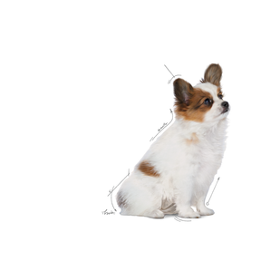Royal Canin X-Small Puppy koiralle 500 g