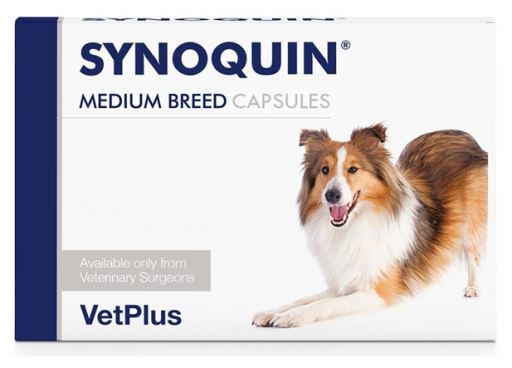 Synoquin Medium Breed kapseli koiralle 120 kpl SÄÄSTÖPAKKAUS