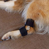 Taituki Kinnertuki takajalka S+