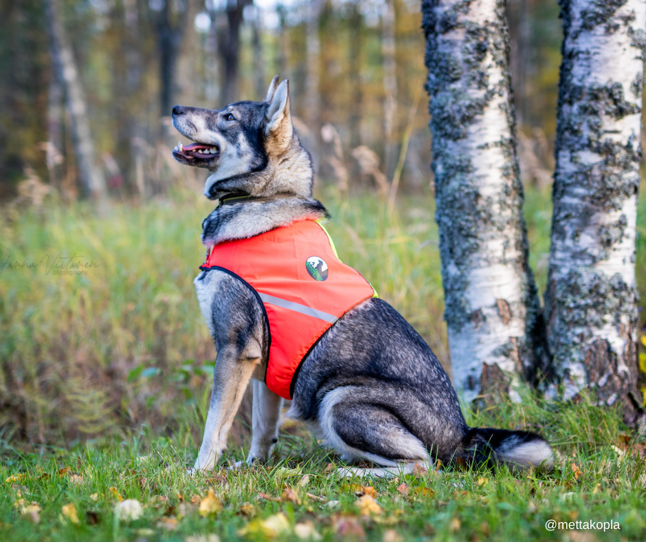 FinNero Ukko Signal huomioliivi kaksivärinen XS