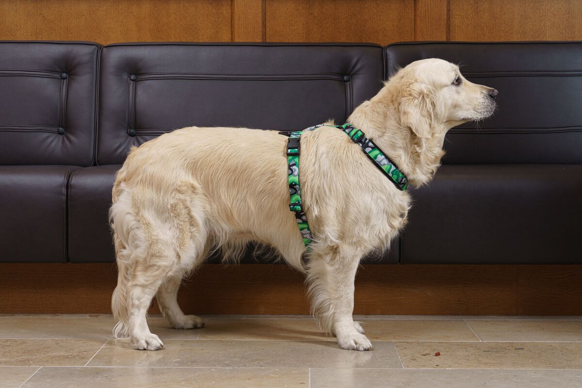 FinNero Camocolor Y-valjas vihreä XS