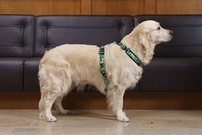 FinNero Camocolor Y-valjas vihreä XS