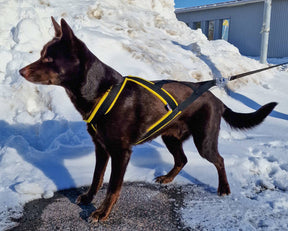 D&C Vetovaljas koko 3 keltainen