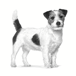 Royal Canin Veterinary Diets Health Management Mature Consult small dog koiran kuivaruoka 3,5 kg