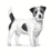 Royal Canin Mature Consult Small Dog koiralle 3,5 kg