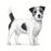 Royal Canin Veterinary Diets Health Management Dental Small Dog koiran kuivaruoka 3,5 kg