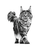Royal Canin Neutered Satiety Balance kissalle 1,5 kg