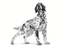 Royal Canin Veterinary Diets Gastrointestinal Low Fat koiran kuivaruoka 1,5 kg