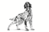 Royal Canin Gastrointestinal Low Fat koiralle 6 kg
