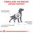 Royal Canin Veterinary Diets Vital Cardiac Loaf Can koiran märkäruoka 200 g MAISTELUPAKKAUS