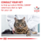 Royal Canin Veterinary Diets Gastrointestinal kissan kuivaruoka 2 kg