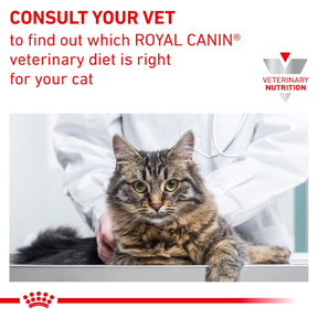 Royal Canin Veterinary Diets Gastrointestinal Moderate Calorie kissan kuivaruoka 4 kg