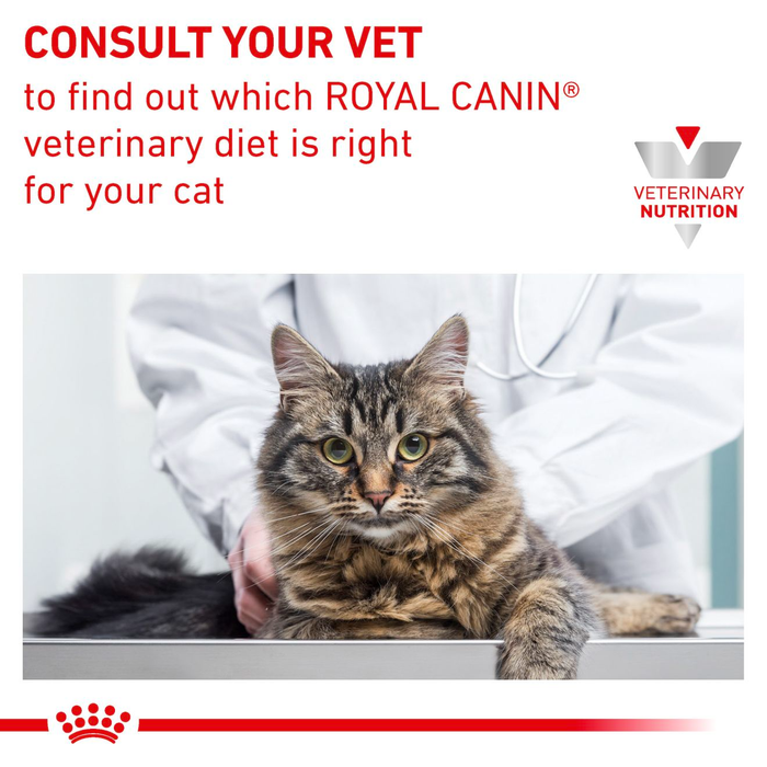 Royal Canin Veterinary Diets Gastrointestinal Hairball kissan kuivaruoka 2 kg