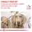 Royal Canin Veterinary Diets Gastrointestinal Moderate Calorie koiran kuivaruoka 2 kg
